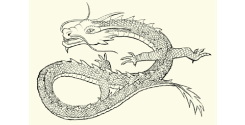 Drawing of a Chinese dragon.